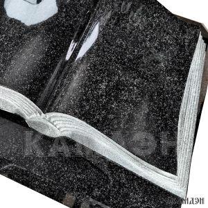 Книга арт.1609